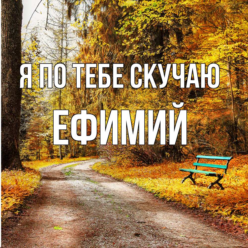 Открытка на каждый день с именем, Ефимий Я по тебе скучаю зеленая лавочка и осенний лес Прикольная открытка с пожеланием онлайн скачать бесплатно 