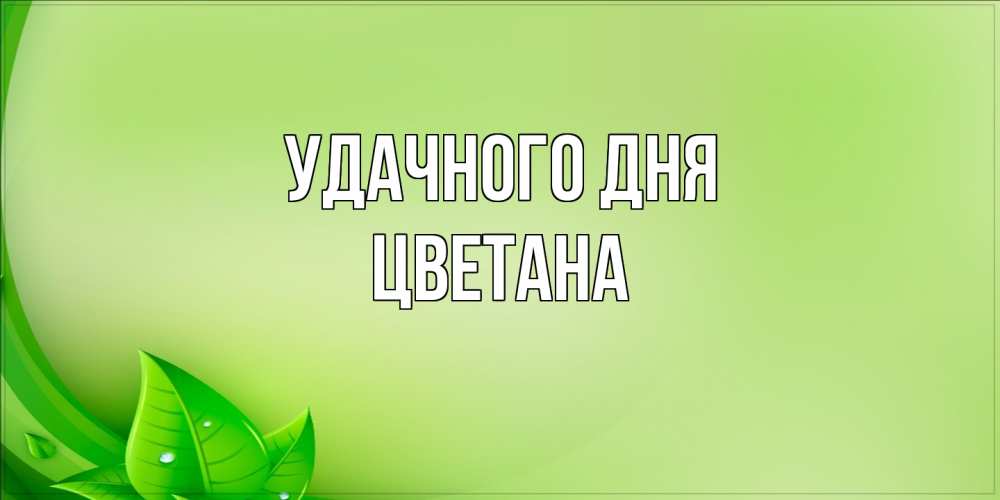 Открытка на каждый день с именем, Цветана Удачного дня зеленая тема Прикольная открытка с пожеланием онлайн скачать бесплатно 