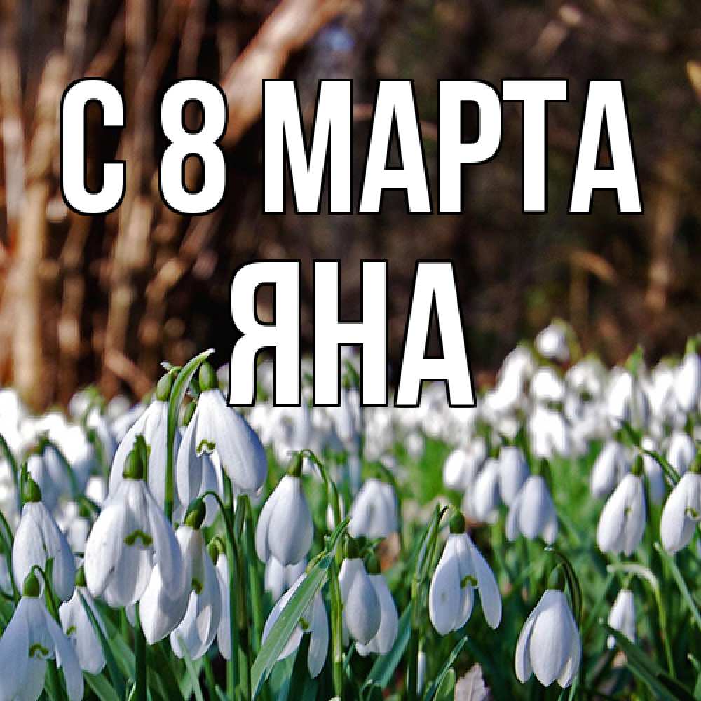 Открытка на каждый день с именем, Яна C 8 МАРТА с подснежниками 1 Прикольная открытка с пожеланием онлайн скачать бесплатно 
