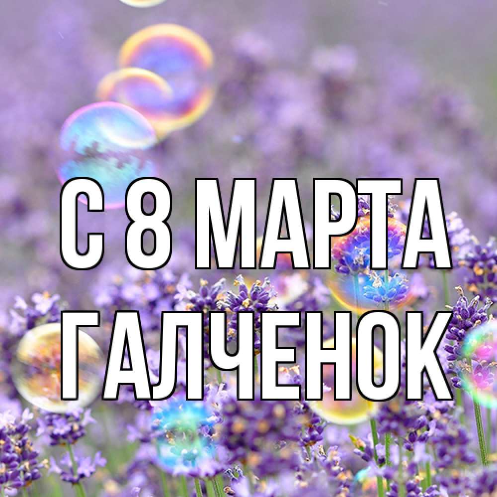 Открытка на каждый день с именем, Галченок C 8 МАРТА цветы Прикольная открытка с пожеланием онлайн скачать бесплатно 