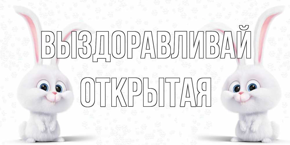 Открытка на каждый день с именем, открытая Выздоравливай не болей с зайцем Прикольная открытка с пожеланием онлайн скачать бесплатно 