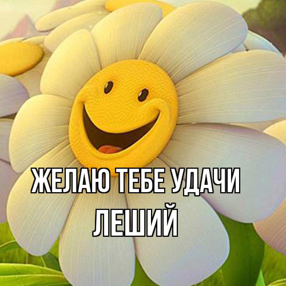 Открытка на каждый день с именем, Леший Желаю тебе удачи подписать открытку своим текстом Прикольная открытка с пожеланием онлайн скачать бесплатно 