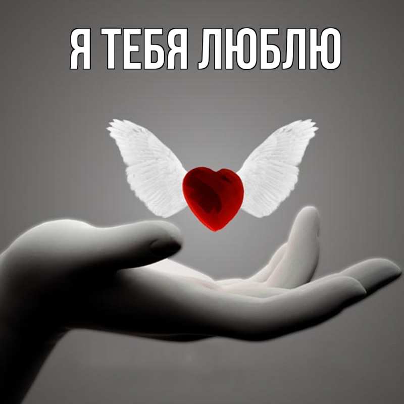 Картинка Я тебя люблю, 