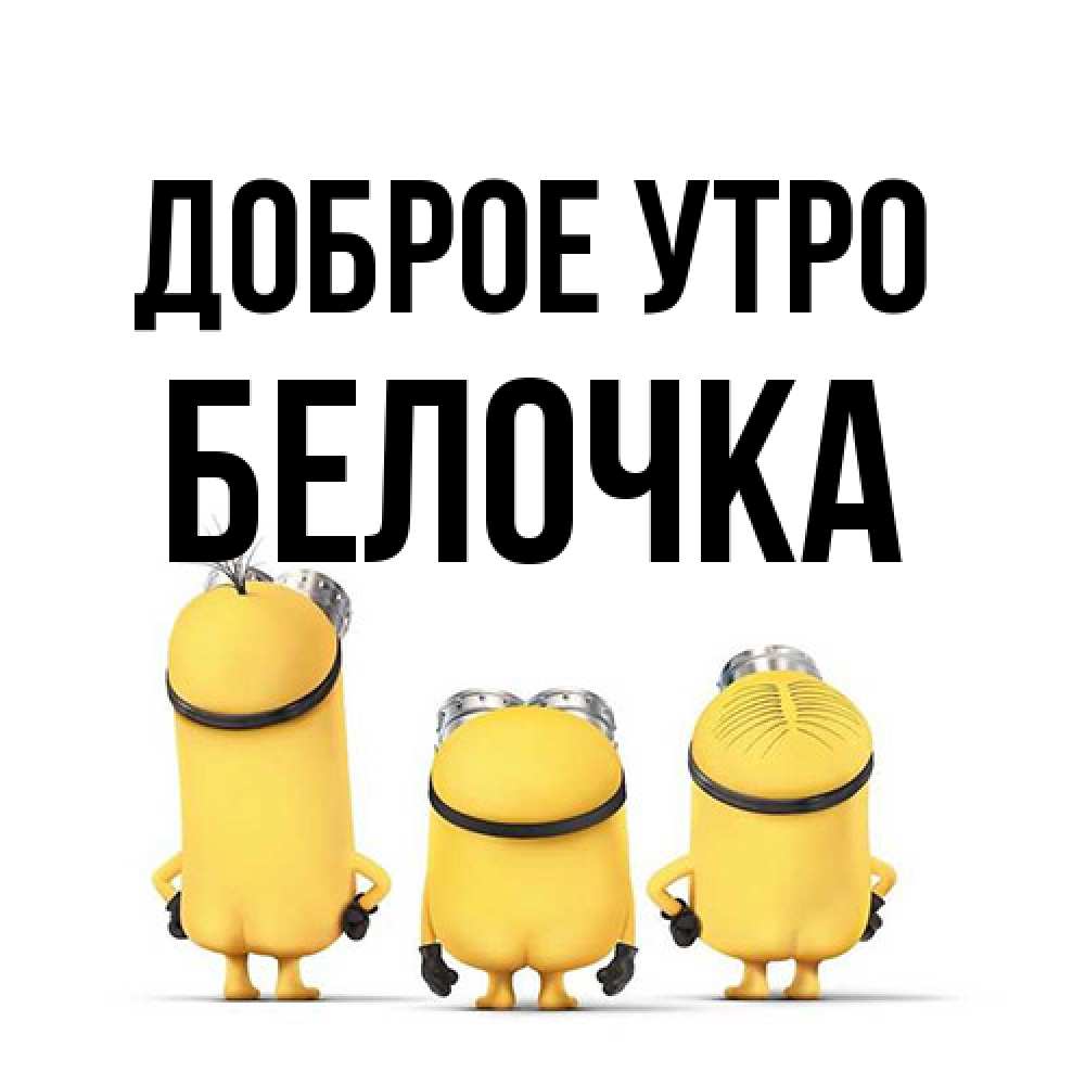 Открытка на каждый день с именем, Белочка Доброе утро подписать открытку онлайн бесплатно Прикольная открытка с пожеланием онлайн скачать бесплатно 