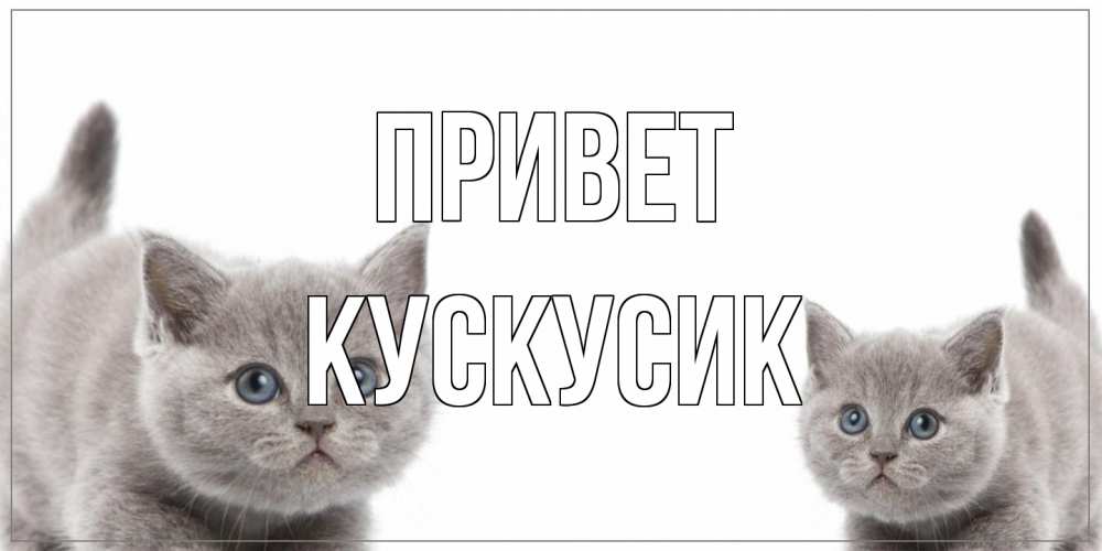 Открытка на каждый день с именем, кускусик Привет коты Прикольная открытка с пожеланием онлайн скачать бесплатно 