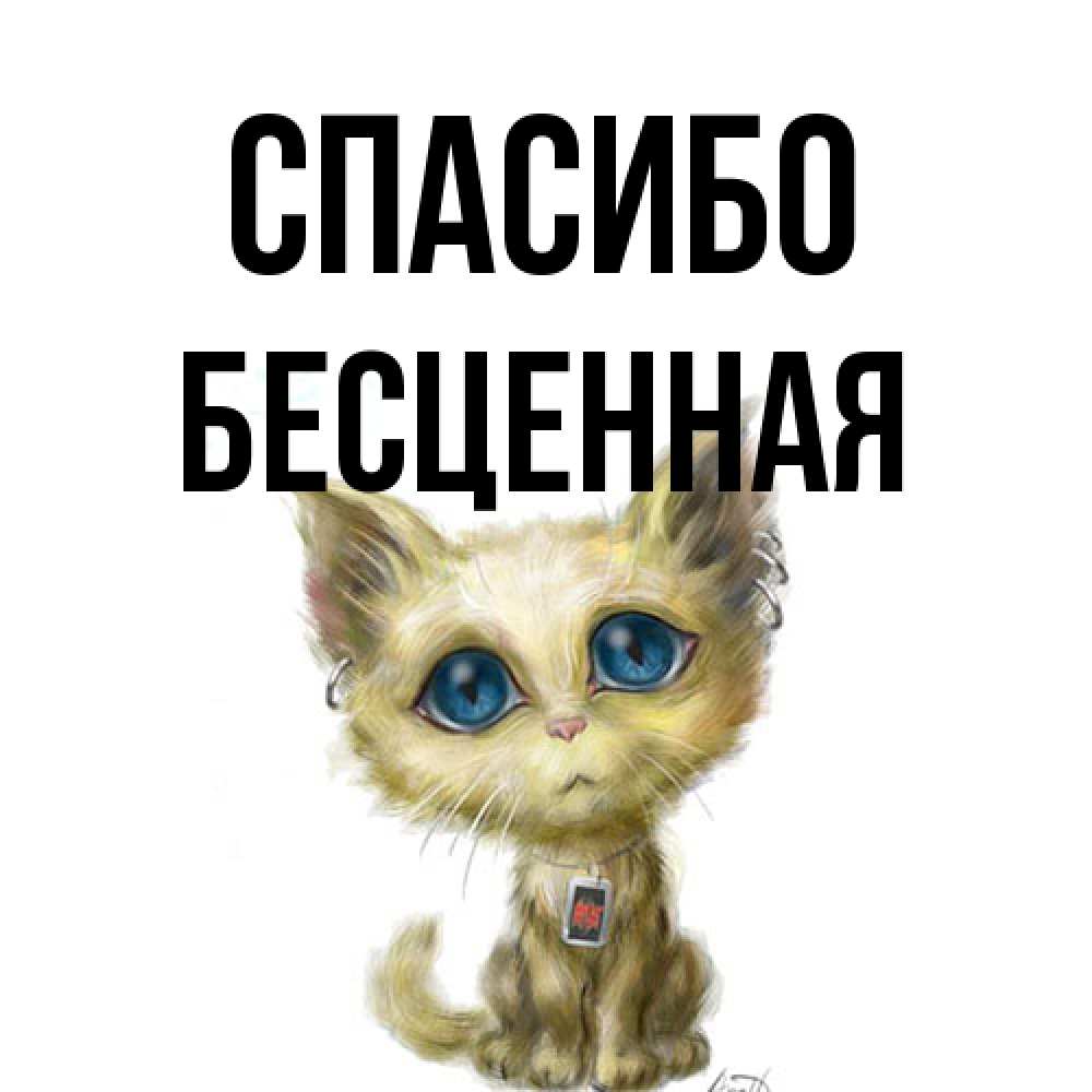 Открытка на каждый день с именем, Бесценная Спасибо рисованный кот благодарит вас Прикольная открытка с пожеланием онлайн скачать бесплатно 