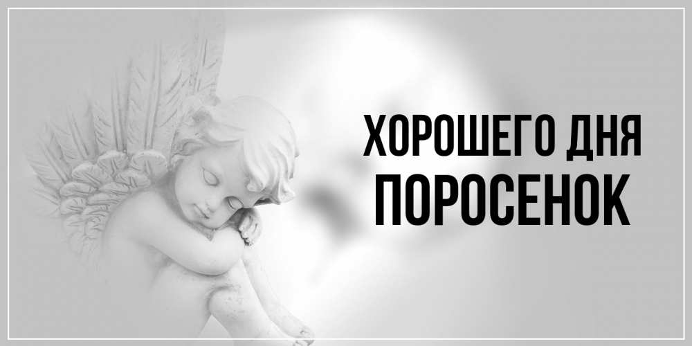 Открытка на каждый день с именем, Поросенок Хорошего дня ангел Прикольная открытка с пожеланием онлайн скачать бесплатно 