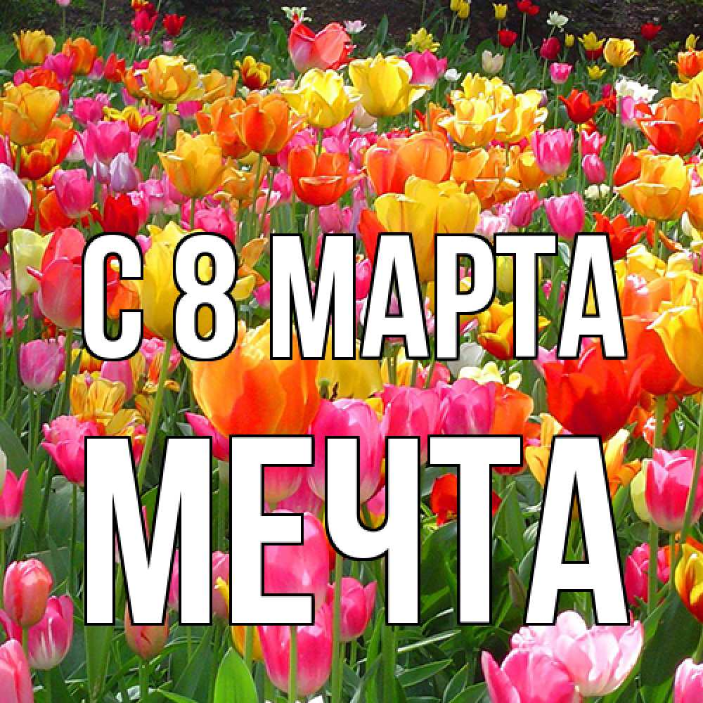 Открытка на каждый день с именем, мечта C 8 МАРТА на международный женский день Прикольная открытка с пожеланием онлайн скачать бесплатно 