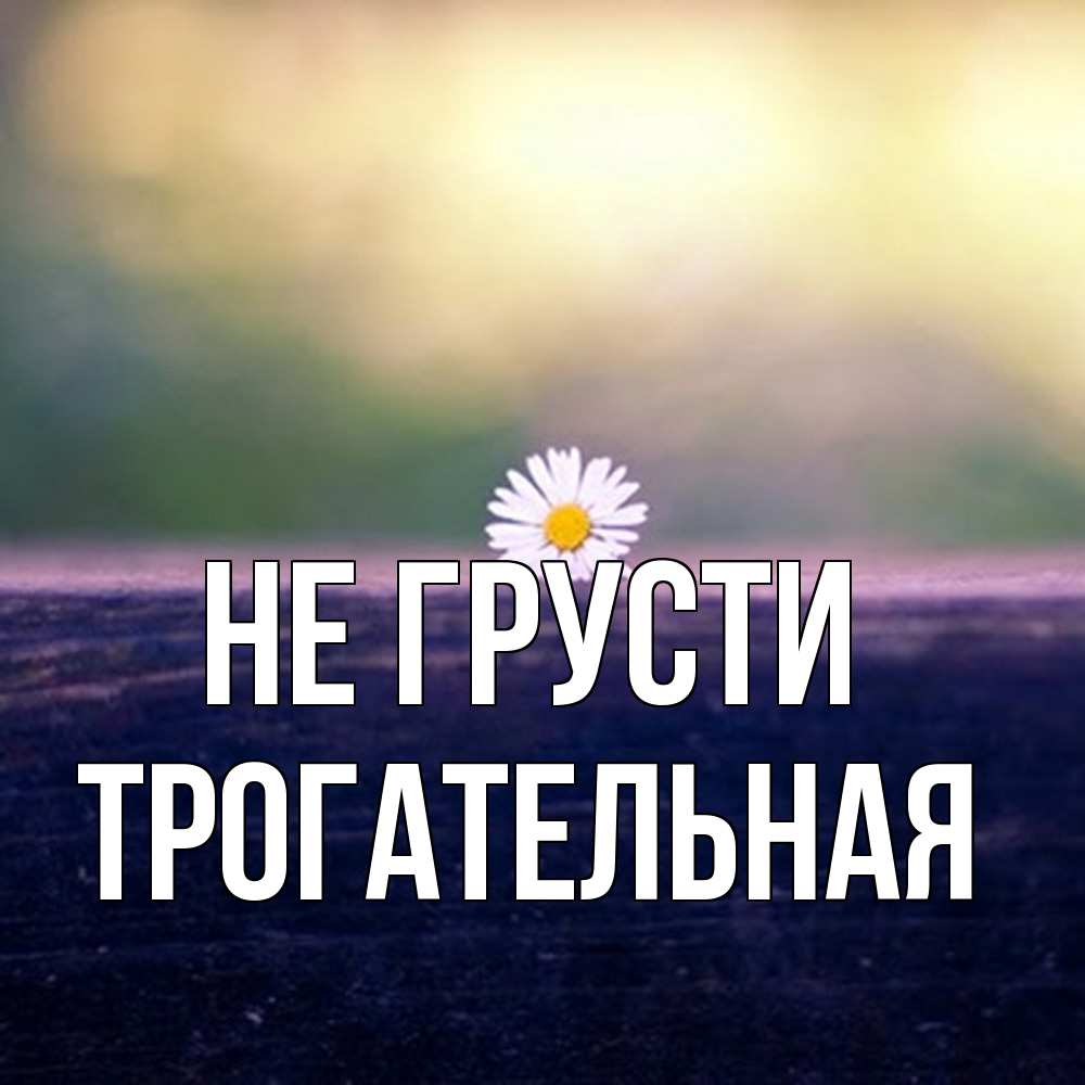 Открытка на каждый день с именем, Трогательная Не грусти красота Прикольная открытка с пожеланием онлайн скачать бесплатно 