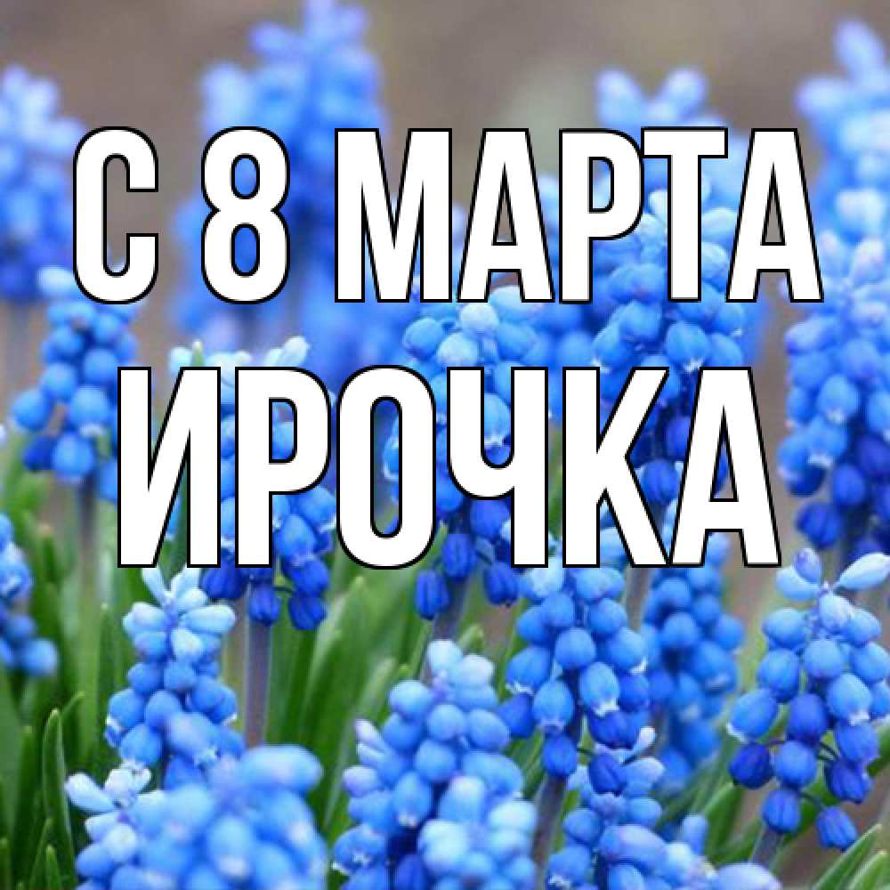 Открытка на каждый день с именем, Ирочка C 8 МАРТА Поздравительная открытка для женщин с цветами на праздничную дату Прикольная открытка с пожеланием онлайн скачать бесплатно 