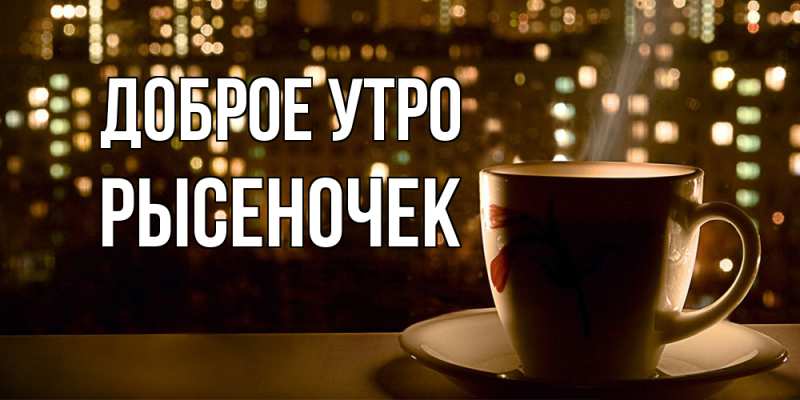 Картинка Доброе утро, Рысеночек