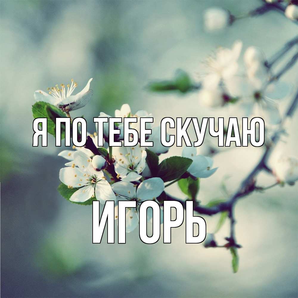 Открытка на каждый день с именем, Игорь Я по тебе скучаю весна Прикольная открытка с пожеланием онлайн скачать бесплатно 