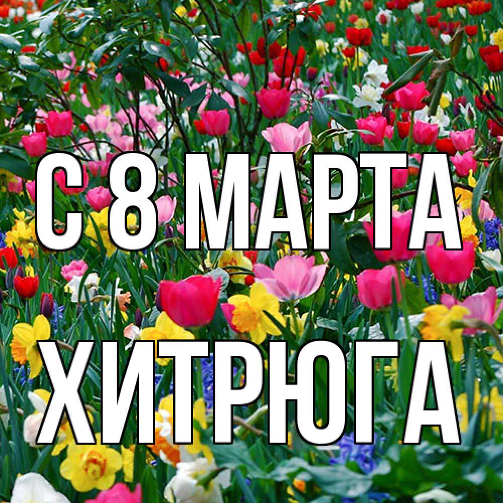 Открытка на каждый день с именем, хитрюга C 8 МАРТА с международным женским днем поздравления для женщины Прикольная открытка с пожеланием онлайн скачать бесплатно 