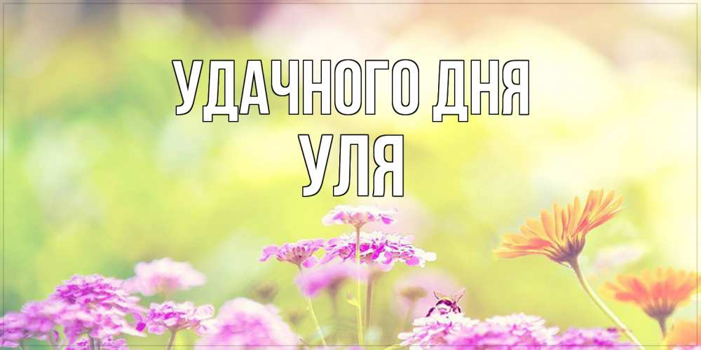 Открытка на каждый день с именем, Уля Удачного дня красивая открытка с летней темой Прикольная открытка с пожеланием онлайн скачать бесплатно 