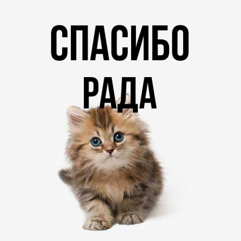 Картинка Спасибо, Рада