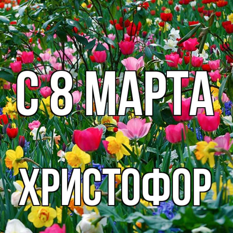 Картинка C 8 МАРТА, Христофор