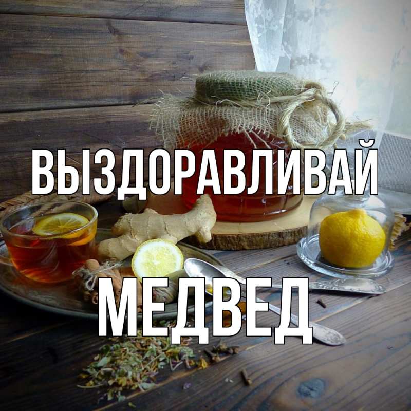 Картинка Выздоравливай, Медвед