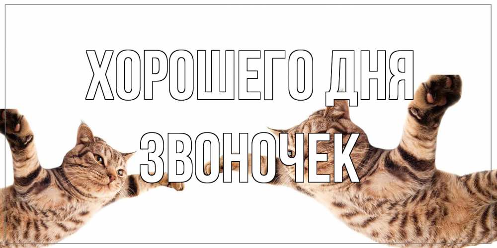 Открытка на каждый день с именем, Звоночек Хорошего дня хорошего дня Прикольная открытка с пожеланием онлайн скачать бесплатно 