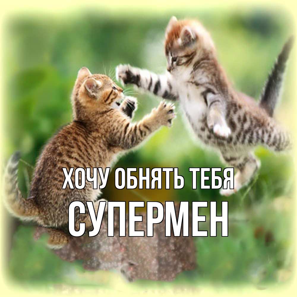 Открытка на каждый день с именем, Супермен Хочу обнять тебя игры котят Прикольная открытка с пожеланием онлайн скачать бесплатно 