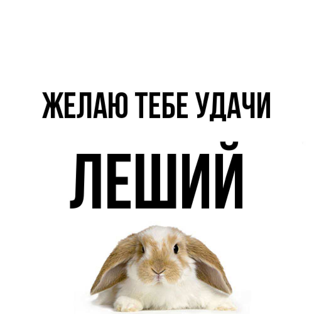 Открытка на каждый день с именем, Леший Желаю тебе удачи открытки с произвольным текстом который можно вставить в открытку и создать ее самостоятельно бесплатно онлайн Прикольная открытка с пожеланием онлайн скачать бесплатно 