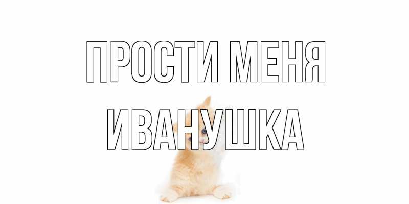 Картинка Прости меня, Иванушка