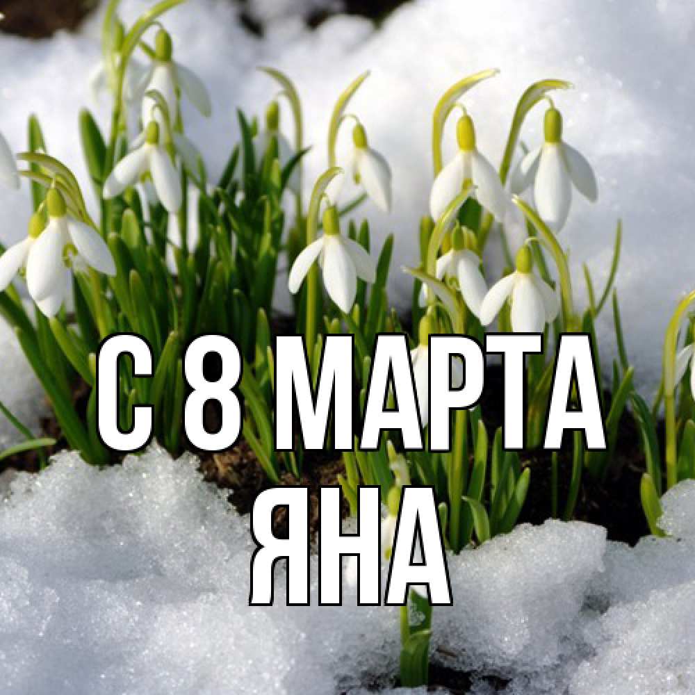 Открытка на каждый день с именем, Яна C 8 МАРТА цветы весенние Прикольная открытка с пожеланием онлайн скачать бесплатно 