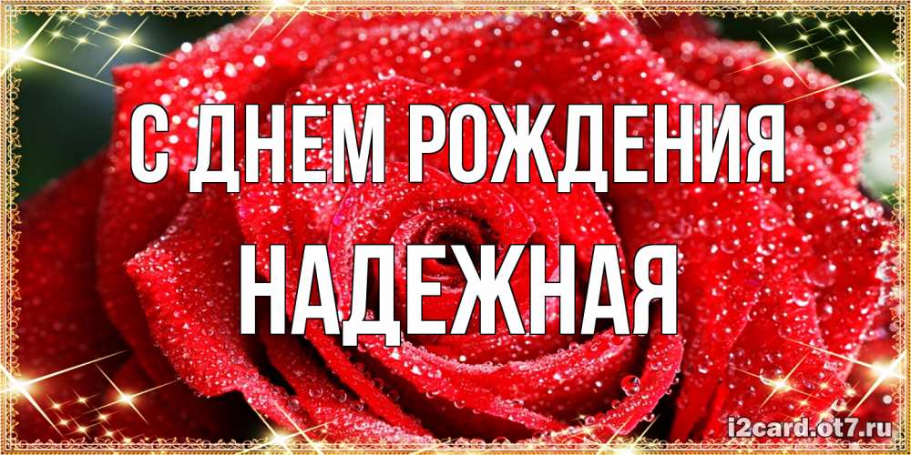 Открытка на каждый день с именем, надежная С днем рождения роса и роза. открытка с красивой розой Прикольная открытка с пожеланием онлайн скачать бесплатно 