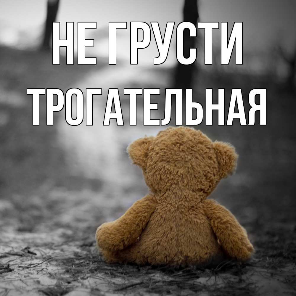Открытка на каждый день с именем, Трогательная Не грусти медведь со спин Прикольная открытка с пожеланием онлайн скачать бесплатно 