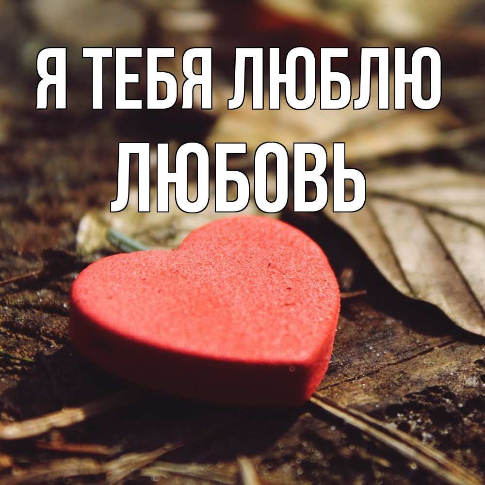 Открытка на каждый день с именем, Любовь Я тебя люблю листья деревье 4 Прикольная открытка с пожеланием онлайн скачать бесплатно 