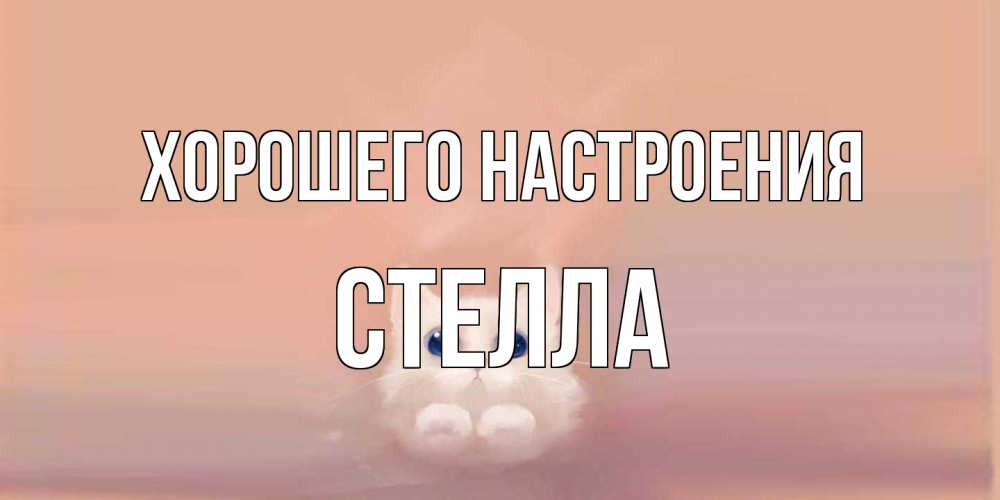 Открытка на каждый день с именем, Стелла Хорошего настроения кошка Прикольная открытка с пожеланием онлайн скачать бесплатно 