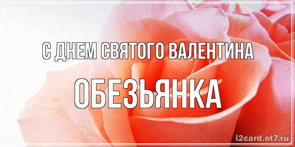 Открытка на каждый день с именем, Обезьянка С днем Святого Валентина открытка на день Святого Валентина с розовой розой Прикольная открытка с пожеланием онлайн скачать бесплатно 