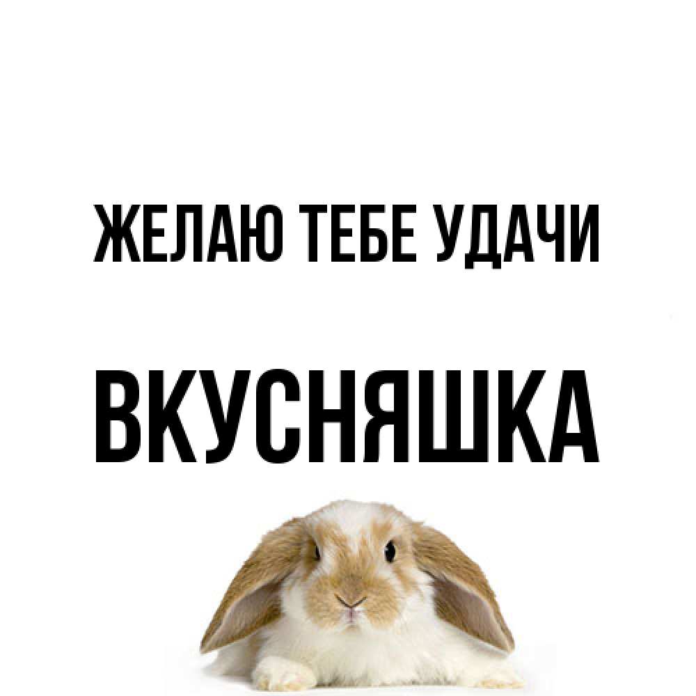 Открытка на каждый день с именем, Вкусняшка Желаю тебе удачи открытки с произвольным текстом который можно вставить в открытку и создать ее самостоятельно бесплатно онлайн Прикольная открытка с пожеланием онлайн скачать бесплатно 