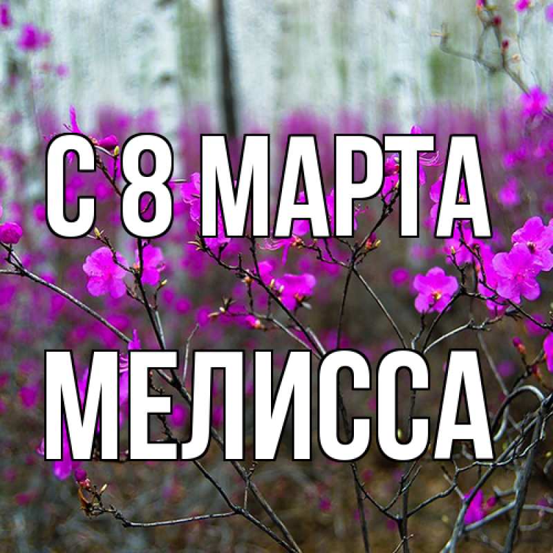Картинка C 8 МАРТА, Мелисса