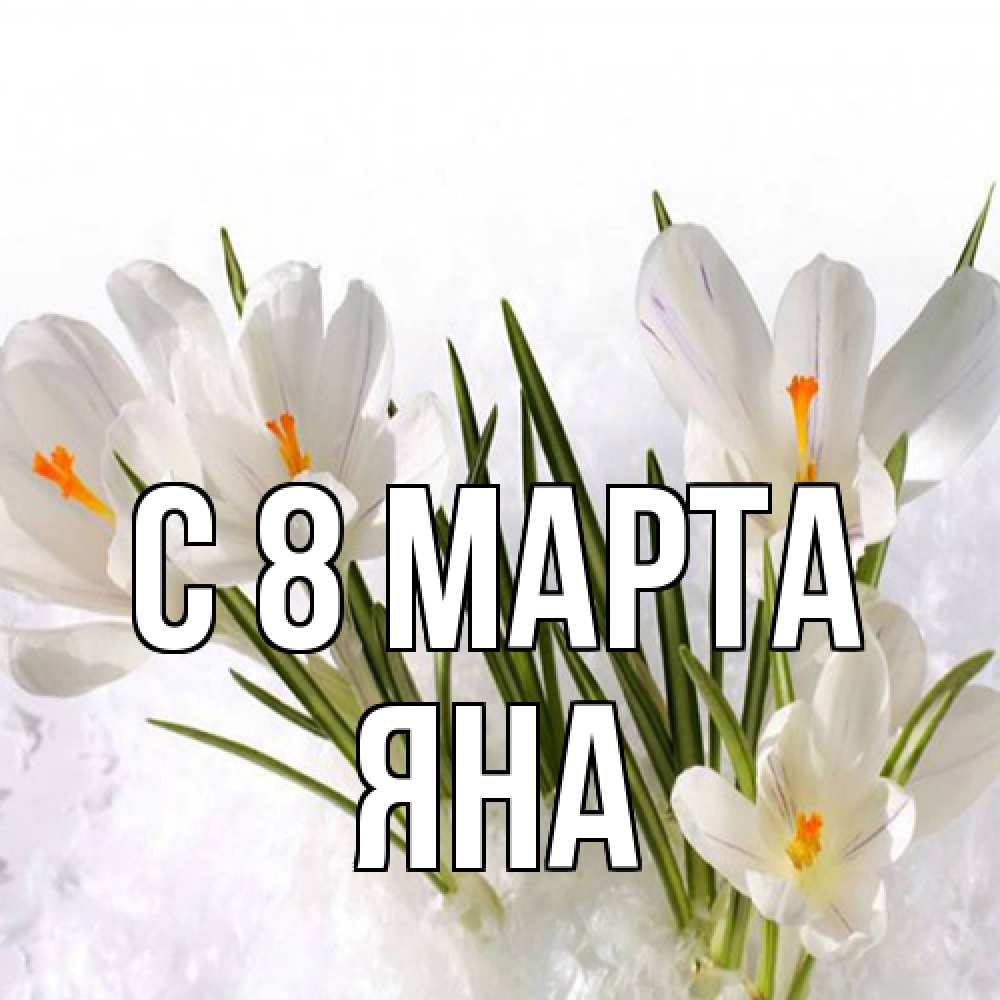 Открытка на каждый день с именем, Яна C 8 МАРТА под снегом Прикольная открытка с пожеланием онлайн скачать бесплатно 