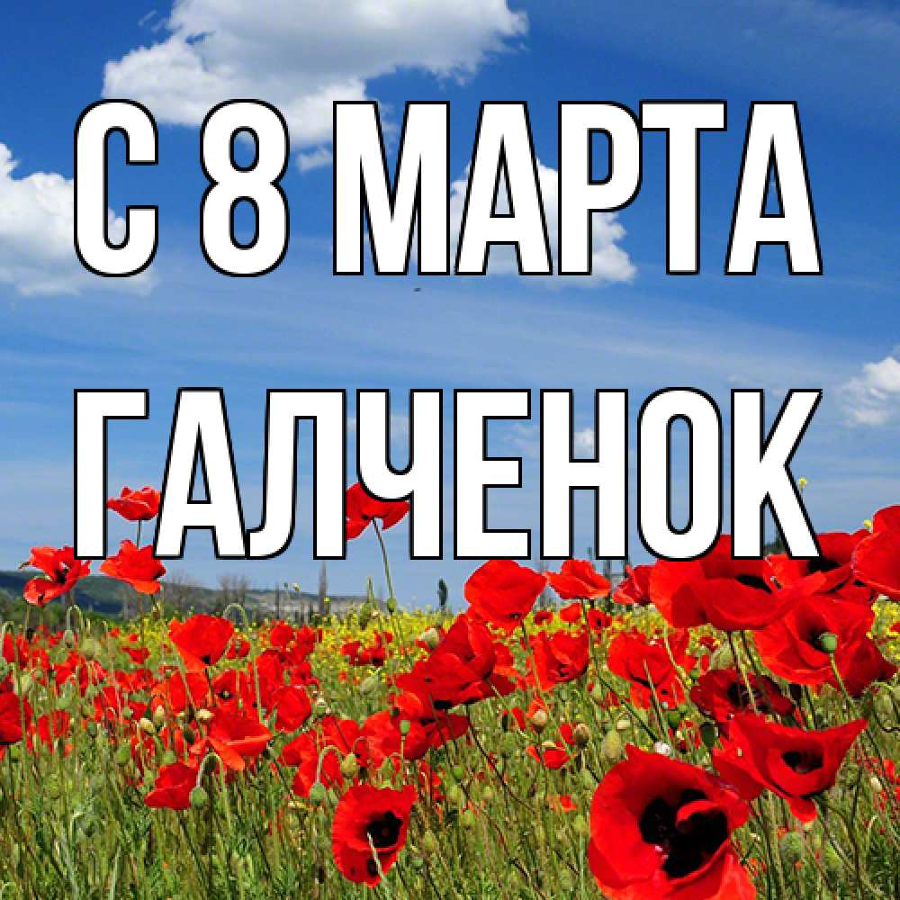 Открытка на каждый день с именем, Галченок C 8 МАРТА международный женский день 1 Прикольная открытка с пожеланием онлайн скачать бесплатно 