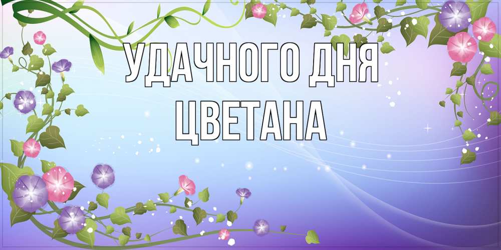 Открытка на каждый день с именем, Цветана Удачного дня хорошего дня Прикольная открытка с пожеланием онлайн скачать бесплатно 