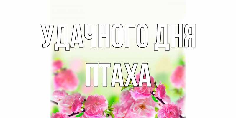 Картинка Удачного дня, Птаха