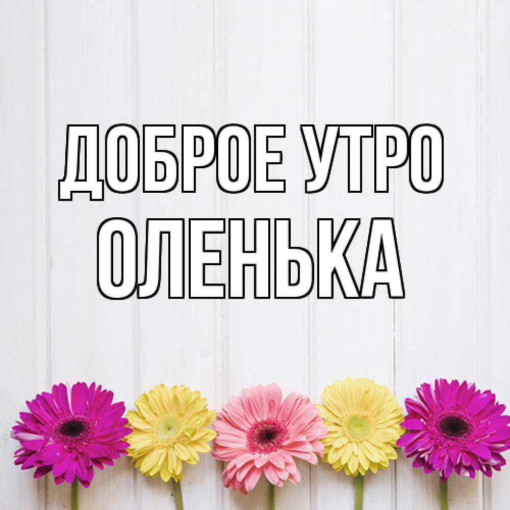 Открытка на каждый день с именем, Оленька Доброе утро красный желтый и розовый цветок Прикольная открытка с пожеланием онлайн скачать бесплатно 