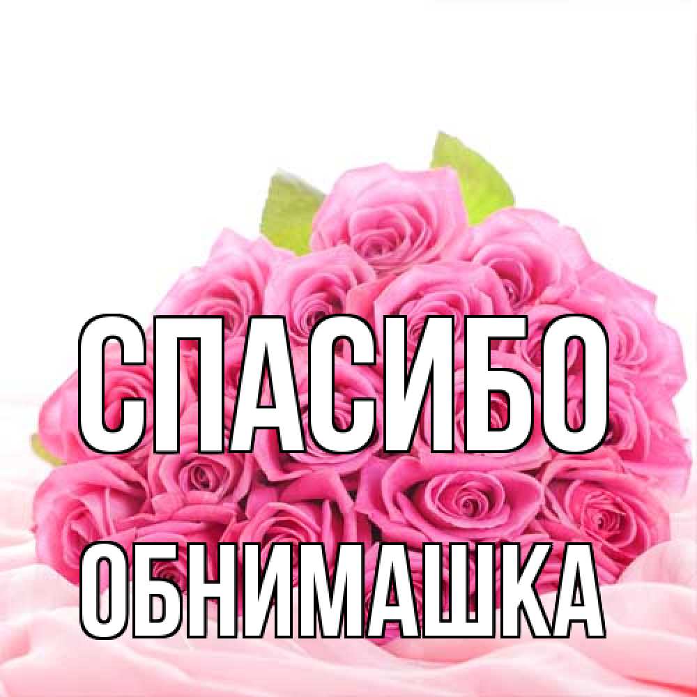 Открытка на каждый день с именем, обнимашка Спасибо розовые розы с подписью Прикольная открытка с пожеланием онлайн скачать бесплатно 