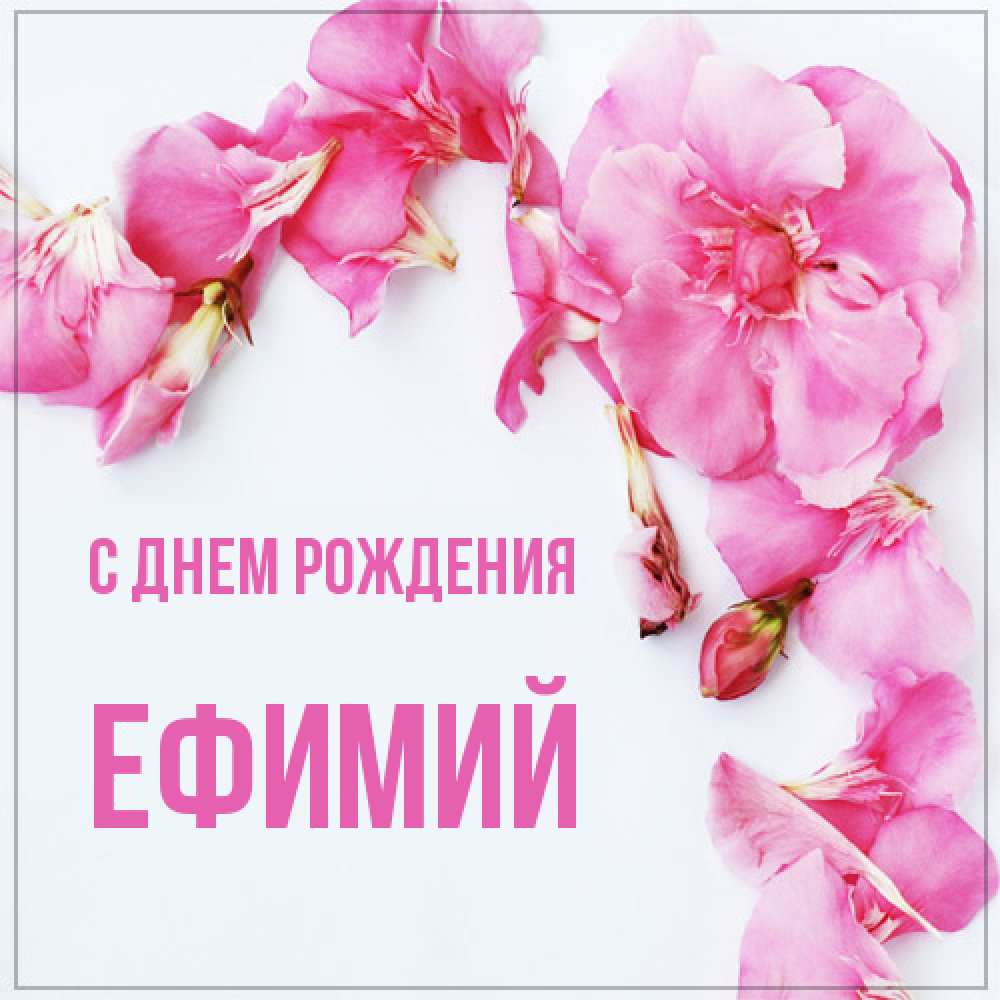 Открытка на каждый день с именем, Ефимий С днем рождения Красивая открытка для поздравления с днем рождения Прикольная открытка с пожеланием онлайн скачать бесплатно 