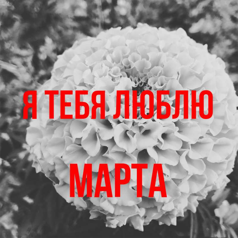 Картинка Я тебя люблю, Марта