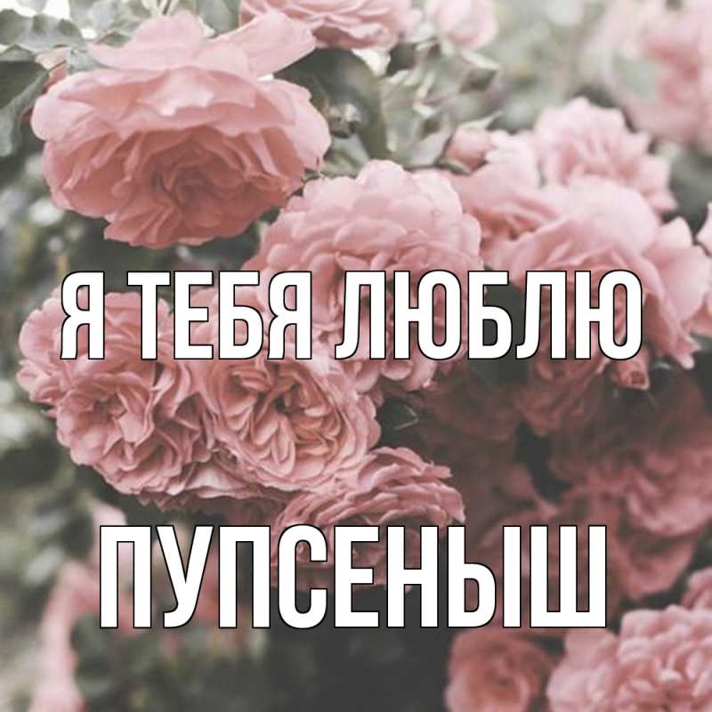 Картинка Я тебя люблю, пупсеныш