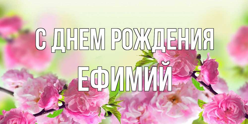 Открытка на каждый день с именем, Ефимий С днем рождения веточки с цветками Прикольная открытка с пожеланием онлайн скачать бесплатно 