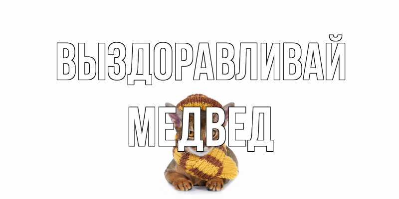 Картинка Выздоравливай, Медвед