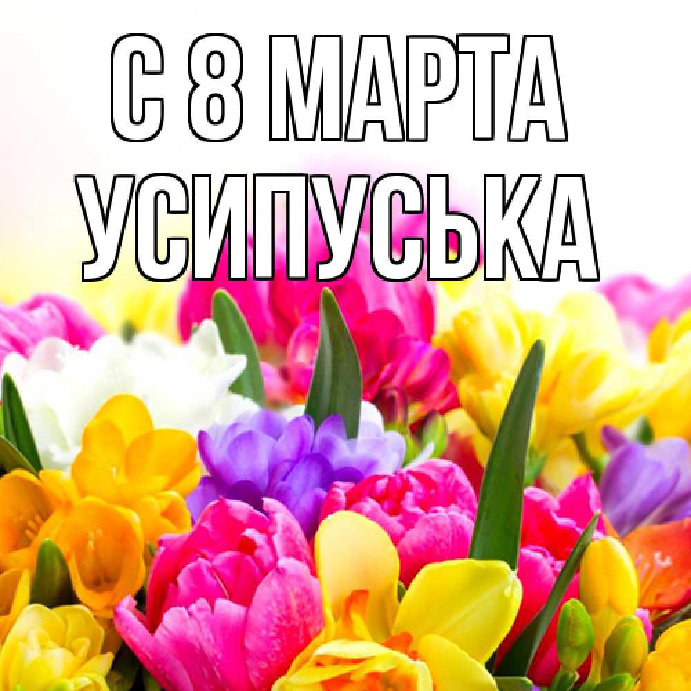 Открытка на каждый день с именем, усипуська C 8 МАРТА тюльпаны Прикольная открытка с пожеланием онлайн скачать бесплатно 