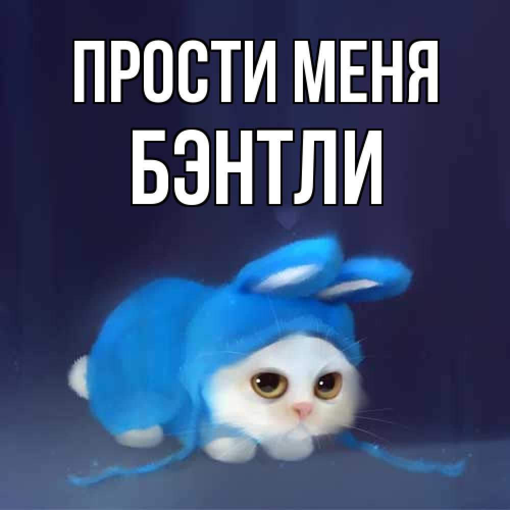 Открытка на каждый день с именем, Бэнтли Прости меня невинный котозай просит прощения Прикольная открытка с пожеланием онлайн скачать бесплатно 