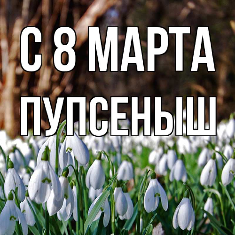 Картинка C 8 МАРТА, пупсеныш