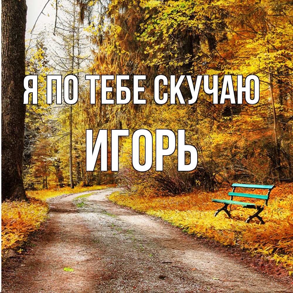 Открытка на каждый день с именем, Игорь Я по тебе скучаю зеленая лавочка и осенний лес Прикольная открытка с пожеланием онлайн скачать бесплатно 