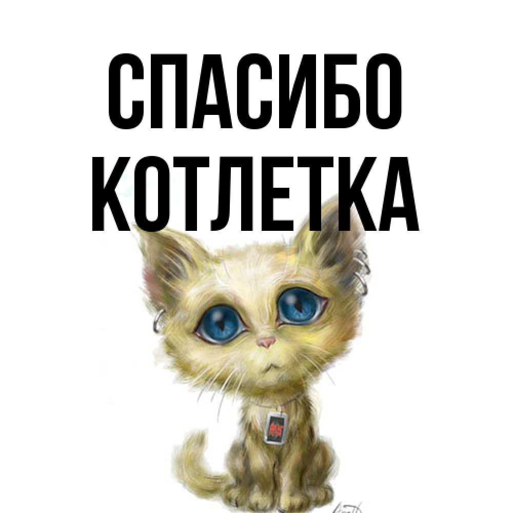 Открытка на каждый день с именем, Котлетка Спасибо рисованный кот благодарит вас Прикольная открытка с пожеланием онлайн скачать бесплатно 