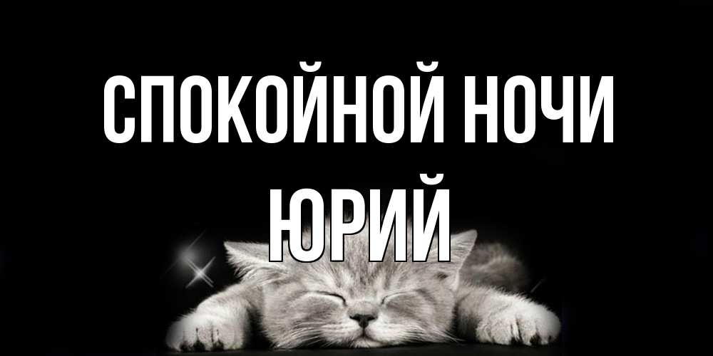 Открытка на каждый день с именем, Юрий Спокойной ночи спящий котик Прикольная открытка с пожеланием онлайн скачать бесплатно 